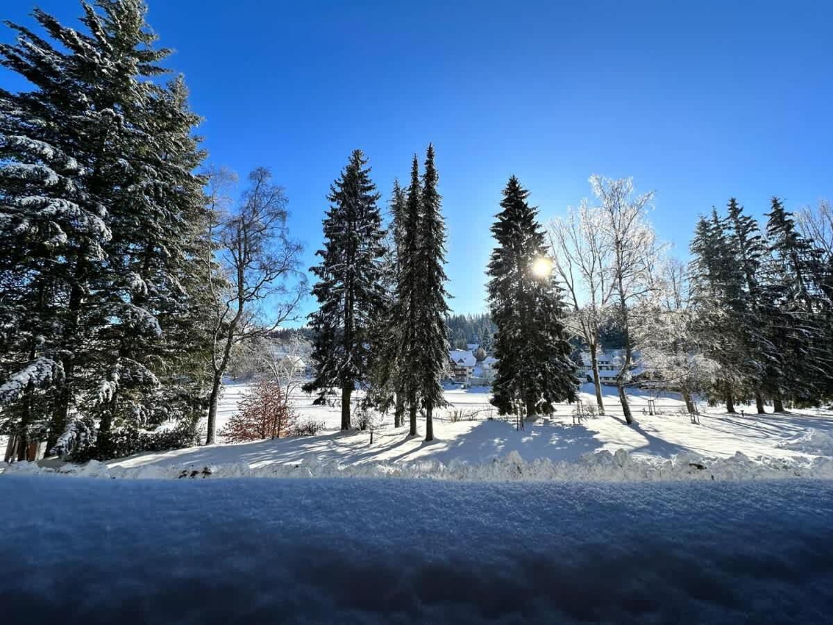 Schönwalde Relaxapartments Black Forest Emotion Mit Sonnenbalkon Mit Blick Auf Den Kurpark, Schnelles Internet, Naehe Triberger Wasserfaelle, Fuer Bis Zu 2 Personen מראה חיצוני תמונה